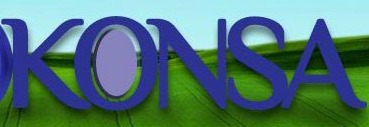 Konsa